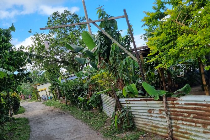 Mele Village Guided Walking Tour - Starting with a small group and local guide