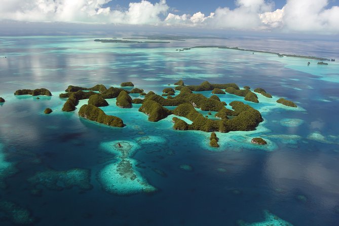 Milky Way, Shark City Island, Beach and Rock Island Tour - What makes this Palau day trip worth considering