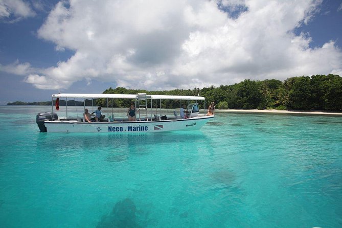 Milky Way, Shark City Island, Beach and Rock Island Tour - A full day among Palau’s Rock Islands