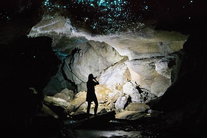 Milky Way, Shark City Island, Beach and Rock Island Tour - Jellyfish Lake and the golden jellies