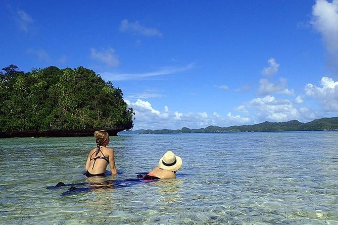 Milky Way, Shark City Island, Beach and Rock Island Tour - What the guides add to the day