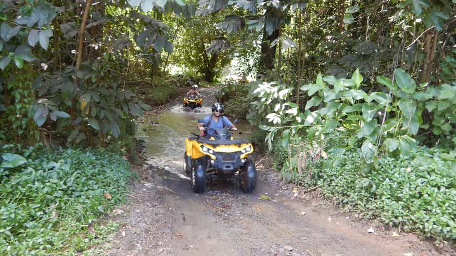 Mo'orea: Guided ATV Nature Tour - Key points at a glance