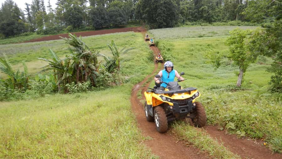 Mo'orea: Guided ATV Nature Tour - Pineapple fields and farm country