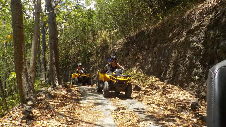 Mo'orea: Guided ATV Nature Tour - The Belvedere and two famous bays