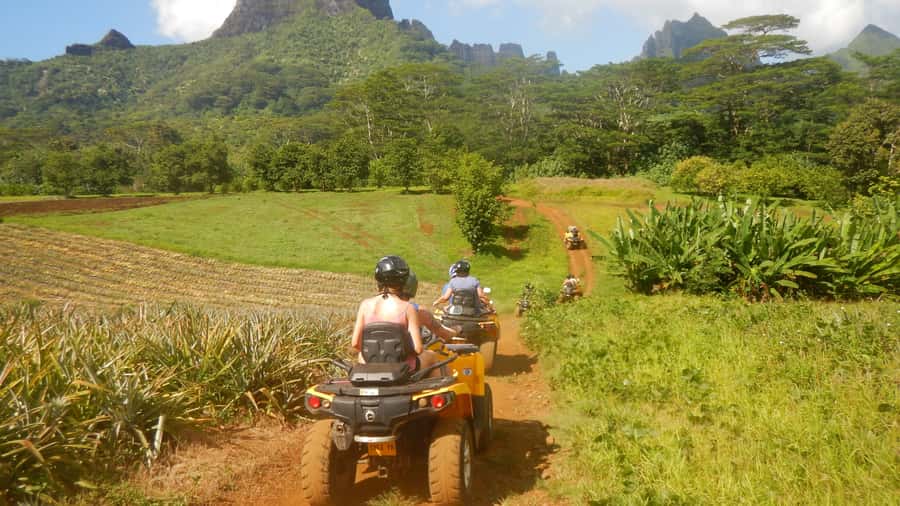 Mo'orea: Guided ATV Nature Tour - Rotui juice, possible tastings, and island flavor
