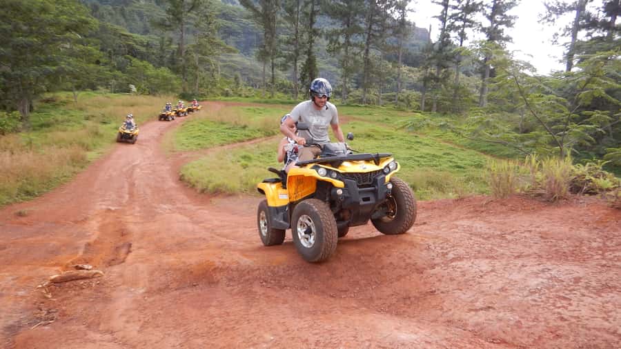 Mo'orea: Guided ATV Nature Tour - Returning through fields and along the north coast
