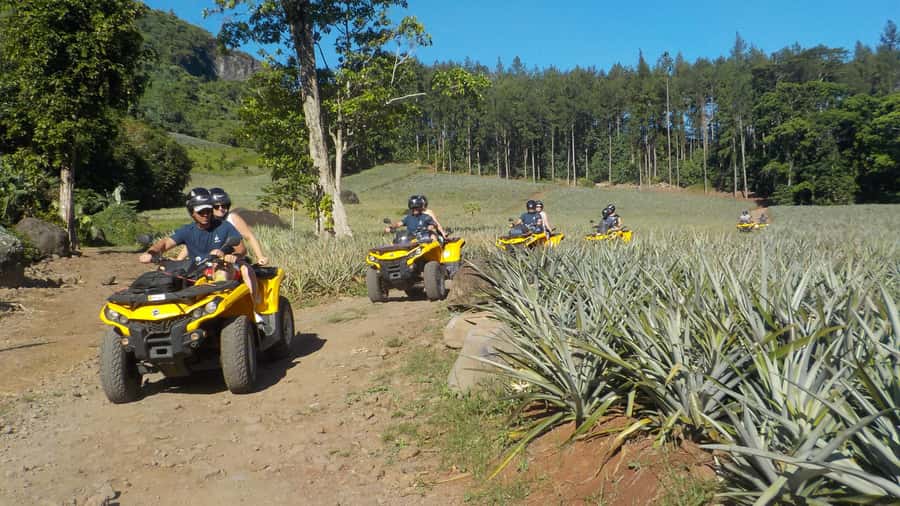 Mo'orea: Guided ATV Nature Tour - Starting in the Opunohu Valley