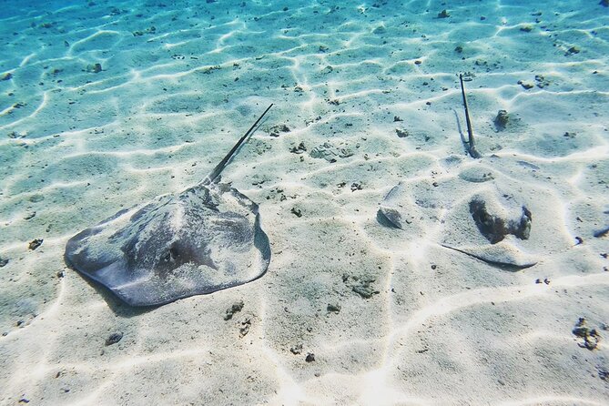 Mo'orea Half Day Private Tour with Snorkeling and Cruising the Lagoon - Four hours on Moorea’s lagoon with Alex