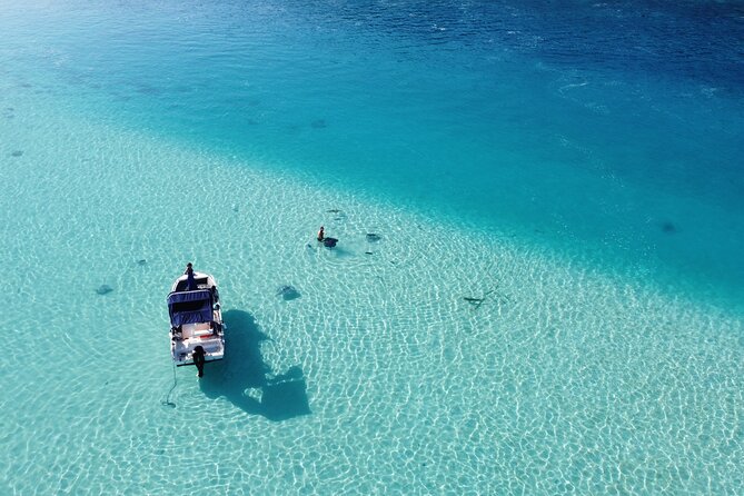 Mo'orea Half Day Private Tour with Snorkeling and Cruising the Lagoon - The famous shark and ray spot