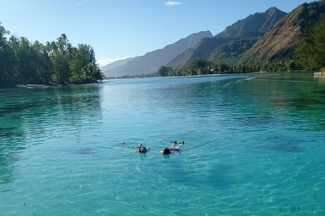 Mo'orea Half Day Private Tour with Snorkeling and Cruising the Lagoon - Cruising for dolphins, surfers, and open-water views
