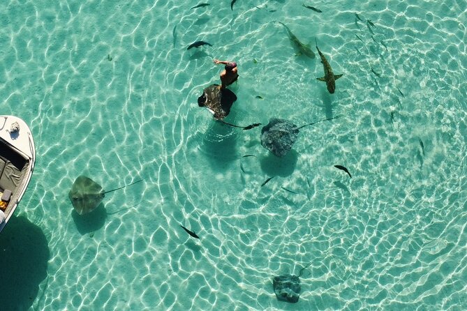Mo'orea Half Day Private Tour with Snorkeling and Cruising the Lagoon - What the private format is really worth