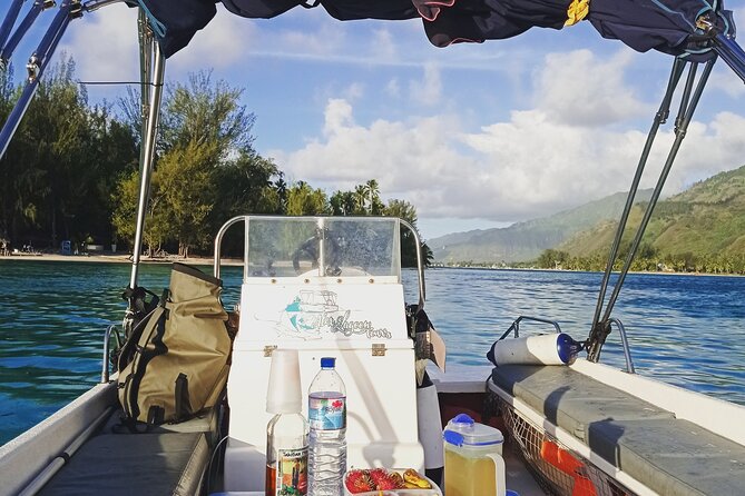 Mo'orea Half Day Private Tour with Snorkeling and Cruising the Lagoon - Tropical fish and a first look at stingrays