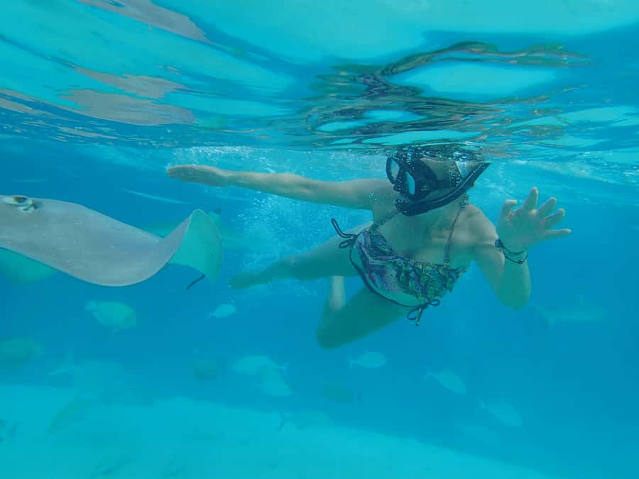 Moorea 4H Shared Boat Tour Whale Swimming and Snorkeling - Safety, swimming ability, and comfort