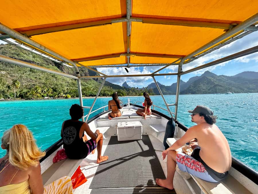 Moorea 4H Shared Boat Tour Whale Swimming and Snorkeling - What whale season means in Moorea