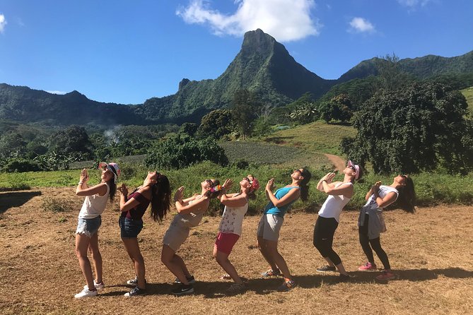 Moorea 4WD Tour Inc. Belvedere, Pineapple Farm, Magic Mountain... - Pineapple fields and Moorea’s working side