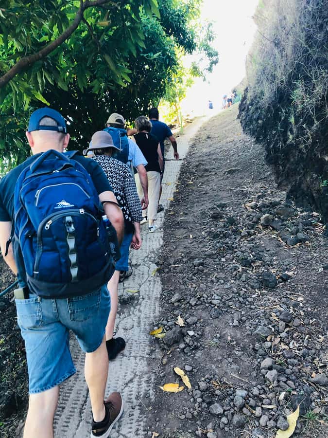 Moorea:4X4 safari excursion between land and sea with lunch - Pearl shopping and the return trip