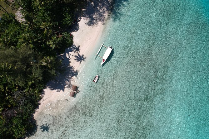 Moorea 6-Hour Snorkeling and Lunch Shared Tour - Who will enjoy this Moorea outing most