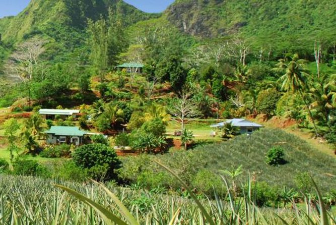 Moorea Aito 4WD Safari Tour - Half day - Belvedere Lookout and the two bays