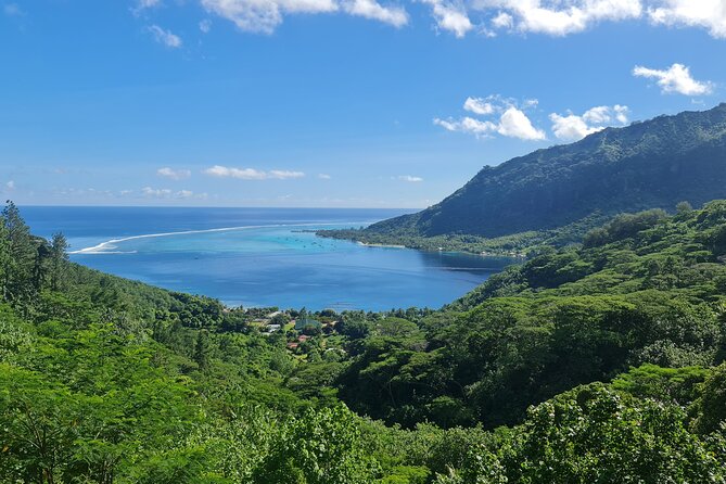Moorea Aito 4WD Safari Tour - Half day - What the small group changes