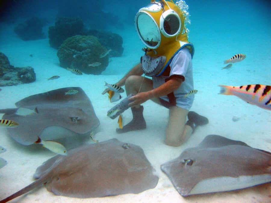 Moorea: Aquablue Helmet Underwater Walking Experience - Meeting the fish at 12 feet