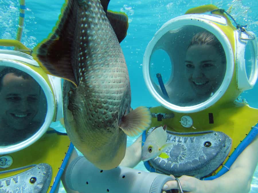 Moorea: Aquablue Helmet Underwater Walking Experience - Why the small group matters