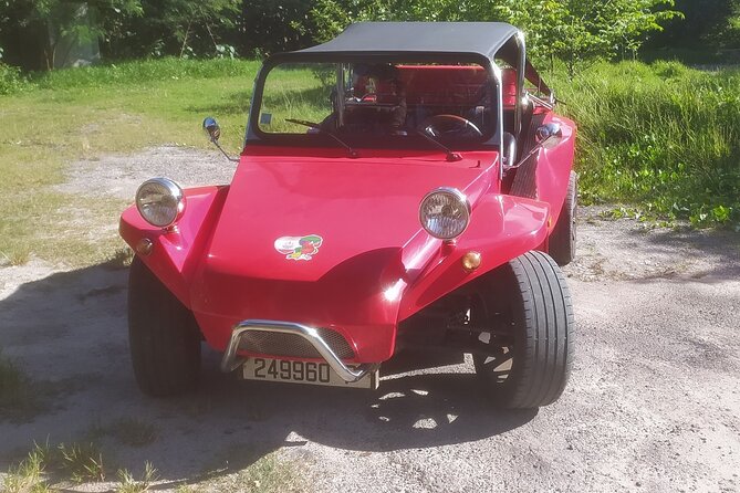Moorea Buggy Rental - Five things to know before you book