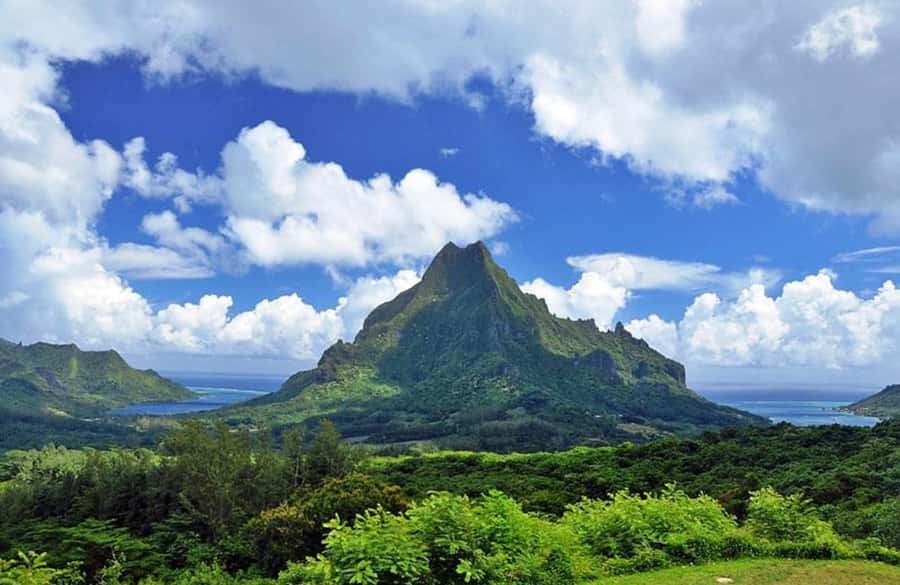 Moorea Cruise Ships 4x4, Belvedere Magic mount PRIVATE Tours - What the private group format really gives you