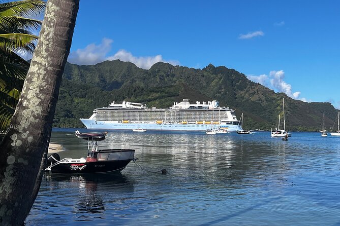 Moorea Cruise Ships: 4x4, Belvedere, Pineapple, & Magic Mountain - Moorea Tropical Garden and fruit products