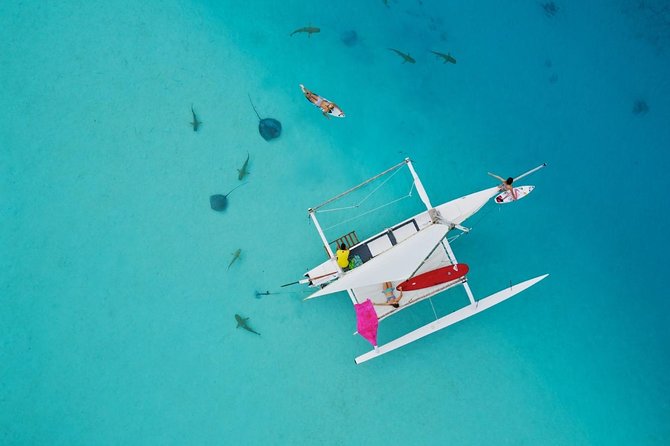 Moorea Discovery Half-day Sailing - A Quiet Way to See Moorea From the Lagoon