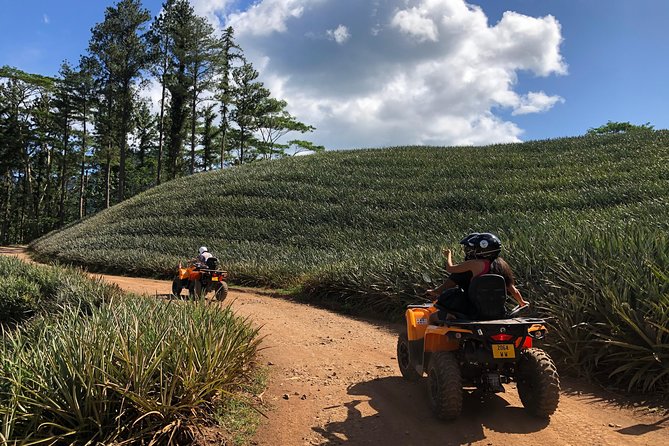 Moorea Explorer Atv Quad Tour - Is the $225 price fair?