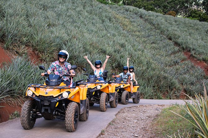 Moorea Explorer Atv Quad Tour - Belvedere Lookout and the classic Moorea view
