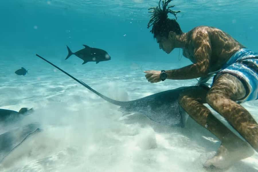 Moorea: Glass Bottom Boat Adventure with Lagoon Wonders - Why this Moorea boat trip feels different