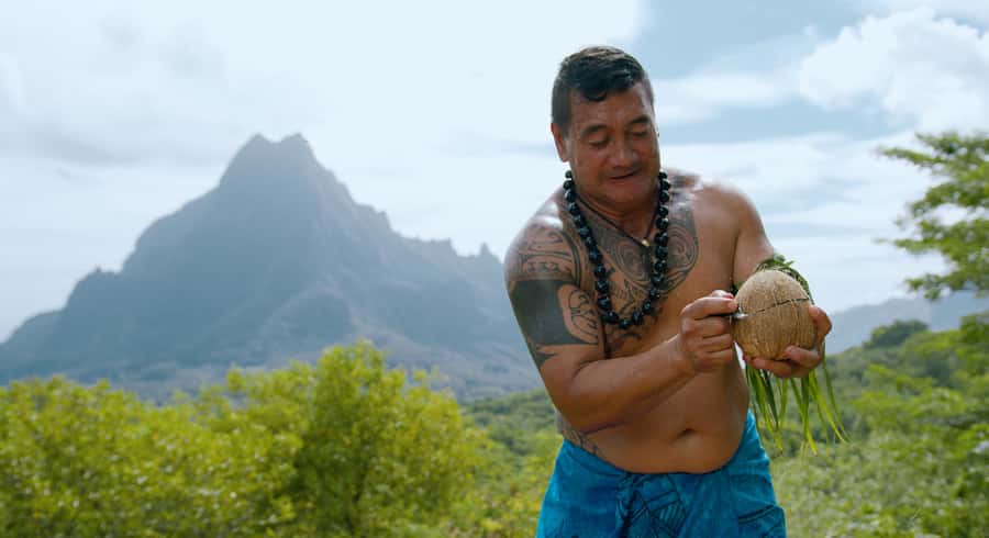 Moorea: Half-Day Open-Air 4WD Safari with Hotel Transfers - Belvedere Lookout and the famous bay views