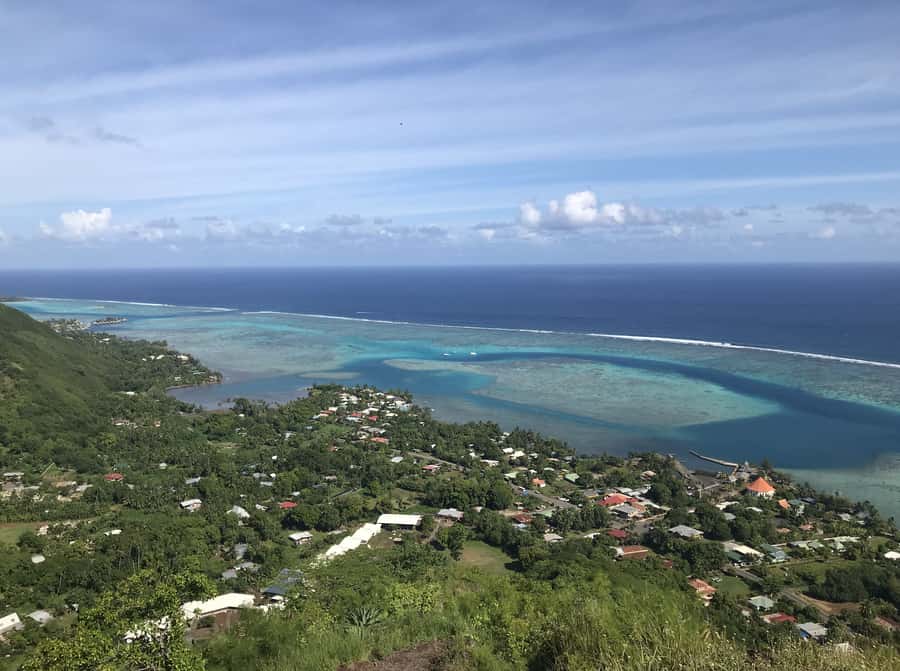 Moorea: Half-Day Open-Air 4WD Safari with Hotel Transfers - Pineapple country, local products, and the tasting stops
