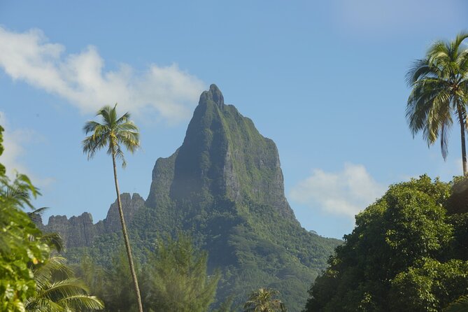 Moorea Highlights Private Tour: Natural and Cultural Attraction - Moorea highlights at a glance