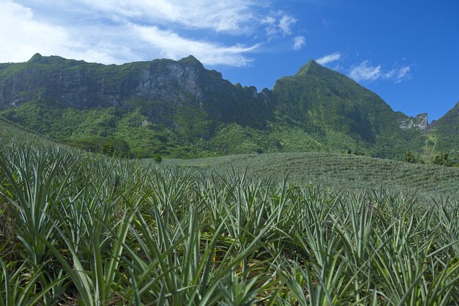 Moorea Highlights Private Tour: Natural and Cultural Attraction - Toatea Lookout and Moorea’s postcard view