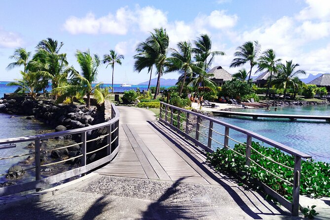 Moorea Highlights Private Tour: Natural and Cultural Attraction - Moorea Tropical Garden and a possible weather change