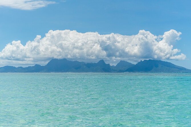 Moorea Highlights Private Tour: Natural and Cultural Attraction - Lunch at Hotel Les Tipaniers or time at the beach