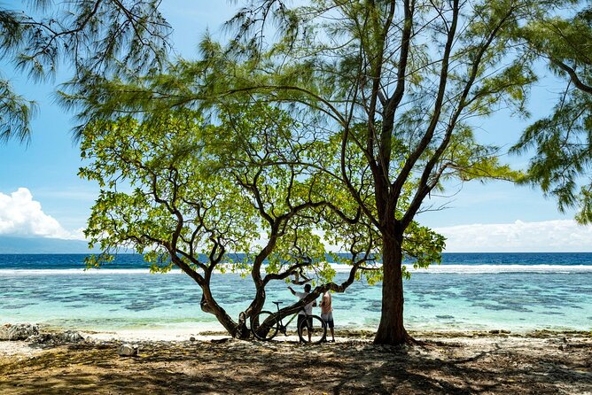 Moorea Highlights Private Tour: Natural and Cultural Attraction - Rotui juice, rum, and local produce