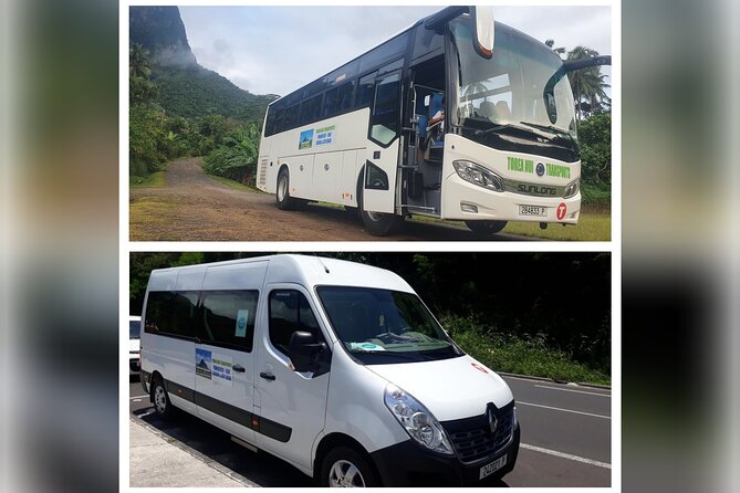 Moorea Island Tour - Why this three-hour Moorea tour works