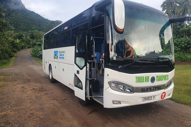 Moorea Island Tour - Pineapple plantations show the island beyond the resorts