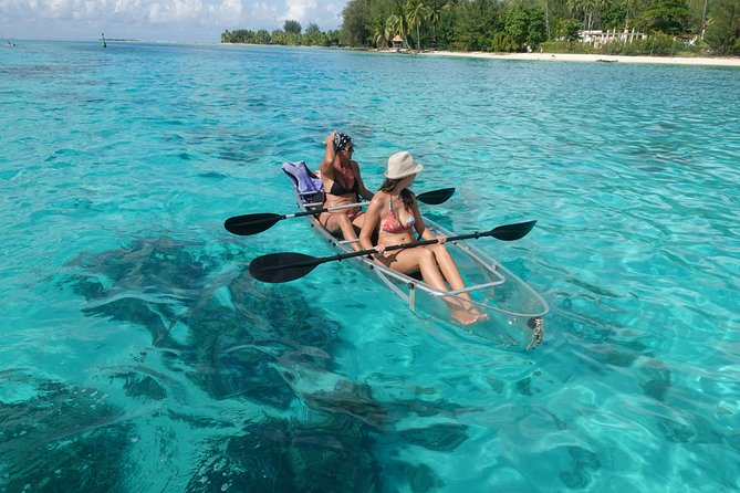 Moorea Lagoon Tour by Transparent Kayak - Is two hours enough?