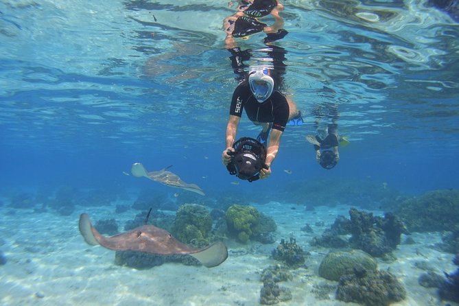 Moorea Private Boat Tour / Sea Scooter Snorkeling Tour - The underwater scooter and snorkeling equipment
