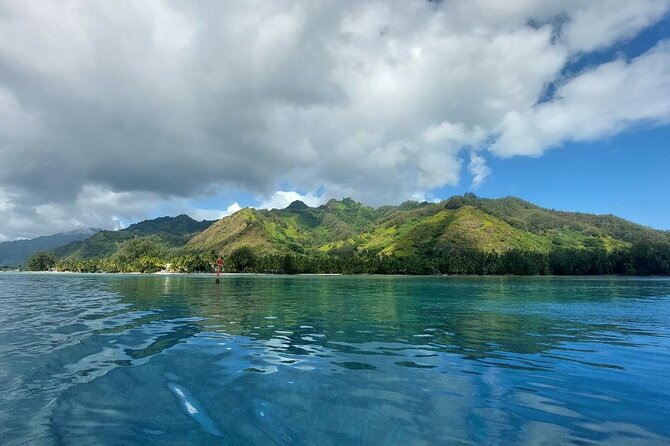 Moorea Private Full Day Tour - What the guide can add to the experience