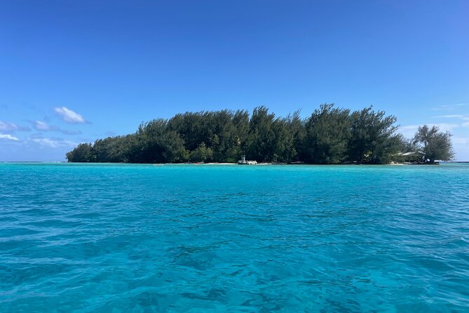 Moorea: Private Snorkeling Tour with Certify Guide - Who will enjoy this most