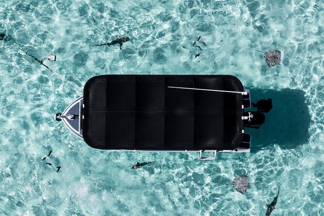 Moorea: Private Snorkeling Tour with Certify Guide - Practical details for a smooth morning or afternoon