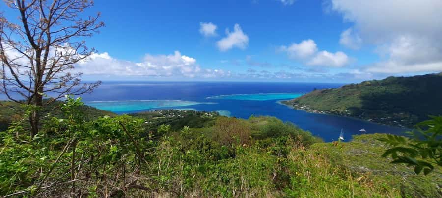 Moorea : Safari Nature and Culture Tour with local guide - Toatea Lookout and Moorea’s first wide view