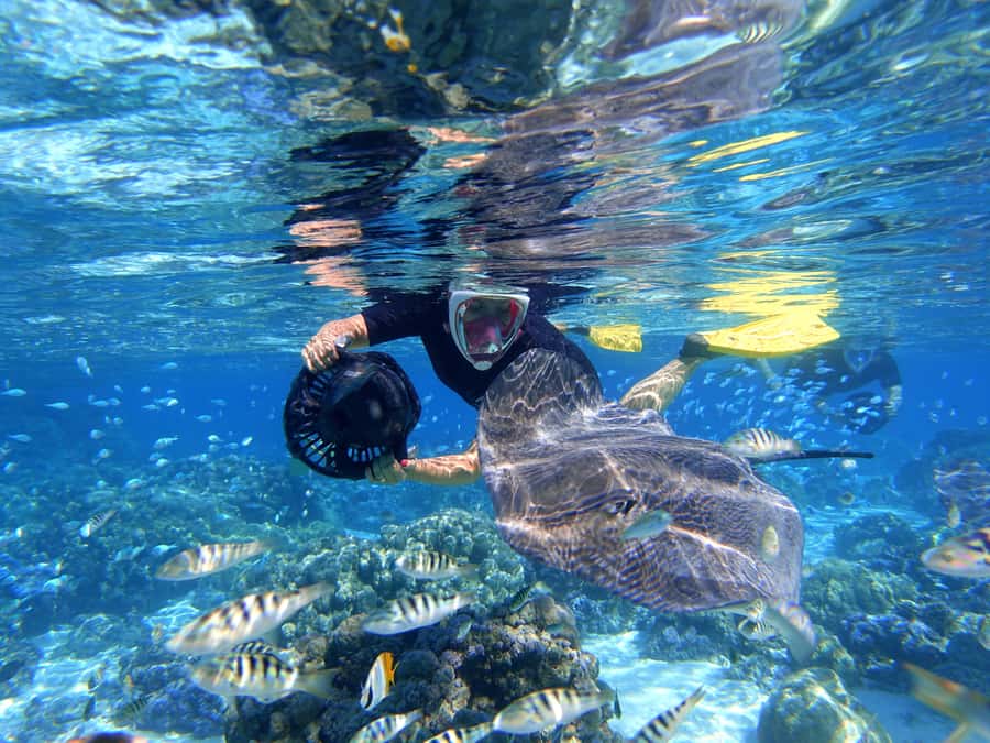 Moorea: Sea Scooter Snorkeling Tour - Practical advice before you go
