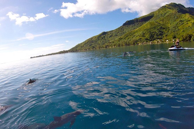 Moorea Solo or Twin 3 hours Jet Ski Tour - Opunohu Bay and the island’s mountain views