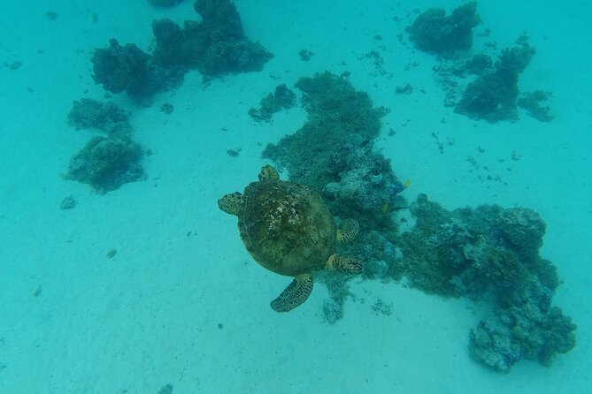 Moorea Solo or Twin Island Tour Jet Ski 4 hours - What the four hours really include